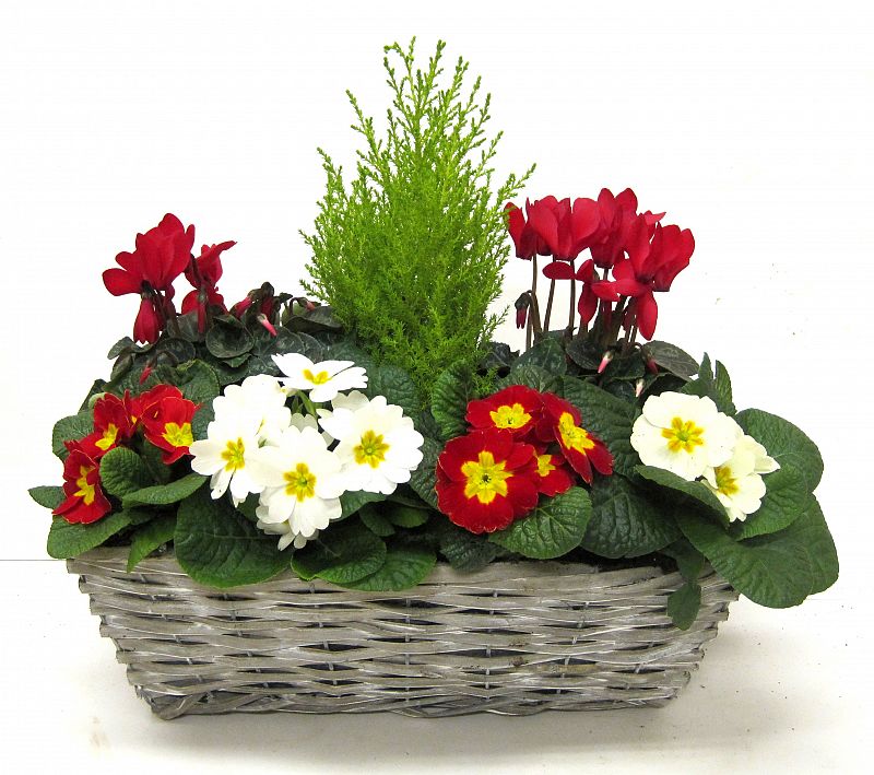 WINTER WINDOW BOX