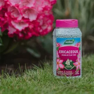 WL Ericaceous Specialist PF Granules Jar - Image 2