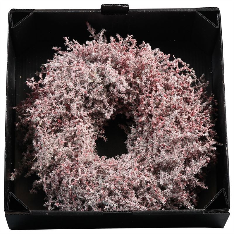 Wreath Asparagus D35cm  Bordeaux  Wax