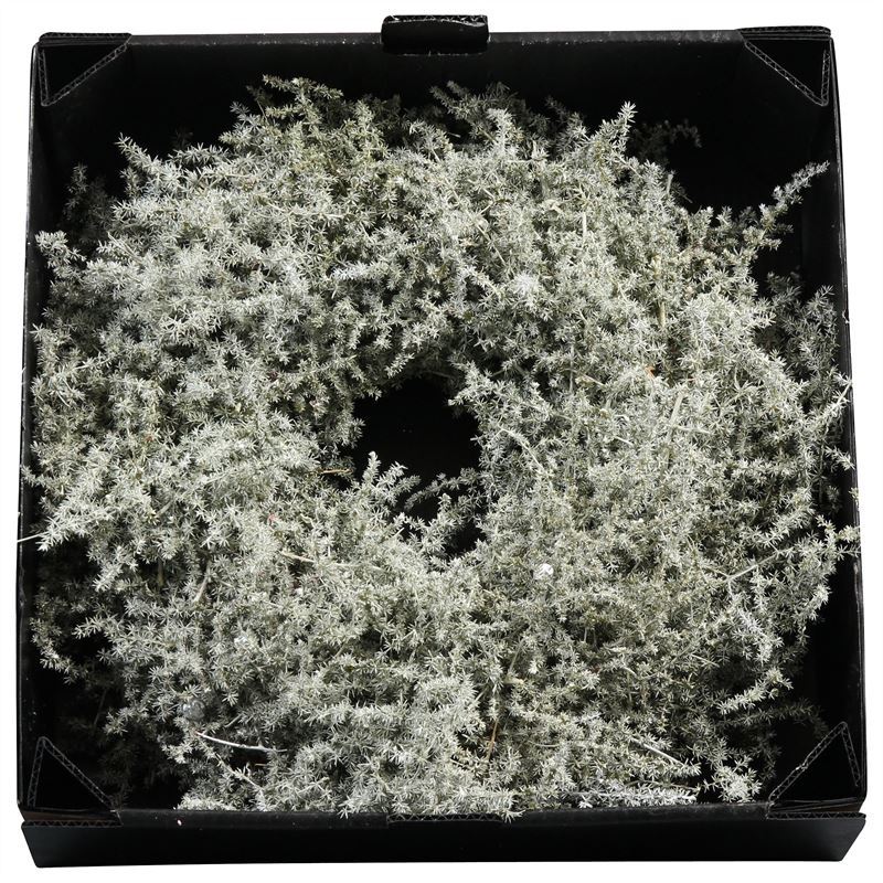 Wreath Asparagus D45  Antique Olive Wax