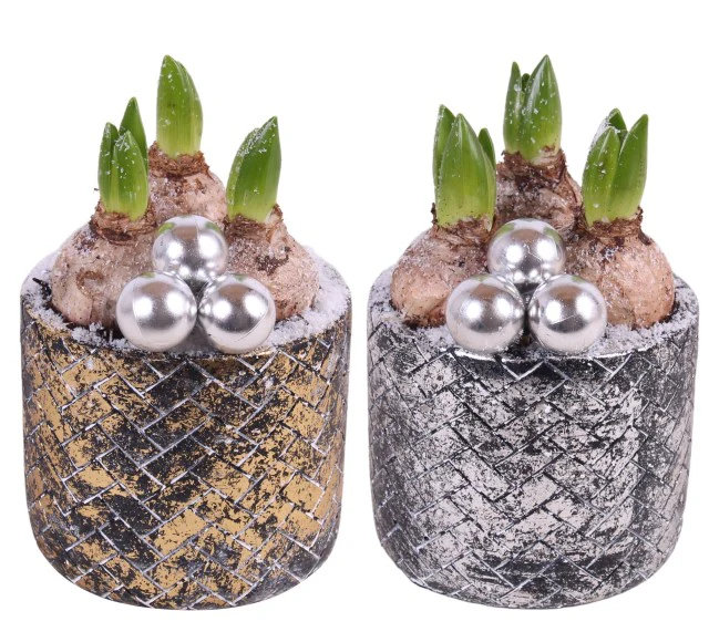 X-mas Hyacinthus  14 cm gold + silver ceramic