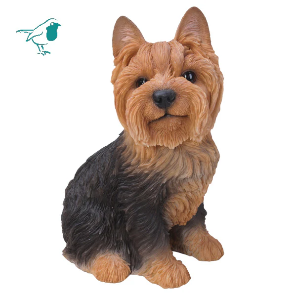 Yorkshire Terrier Sitting B