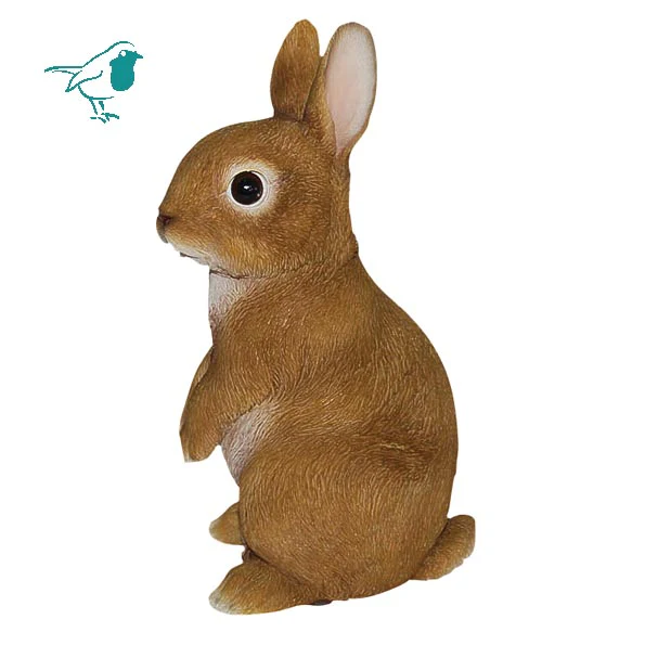 Young Rabbit SITTING E