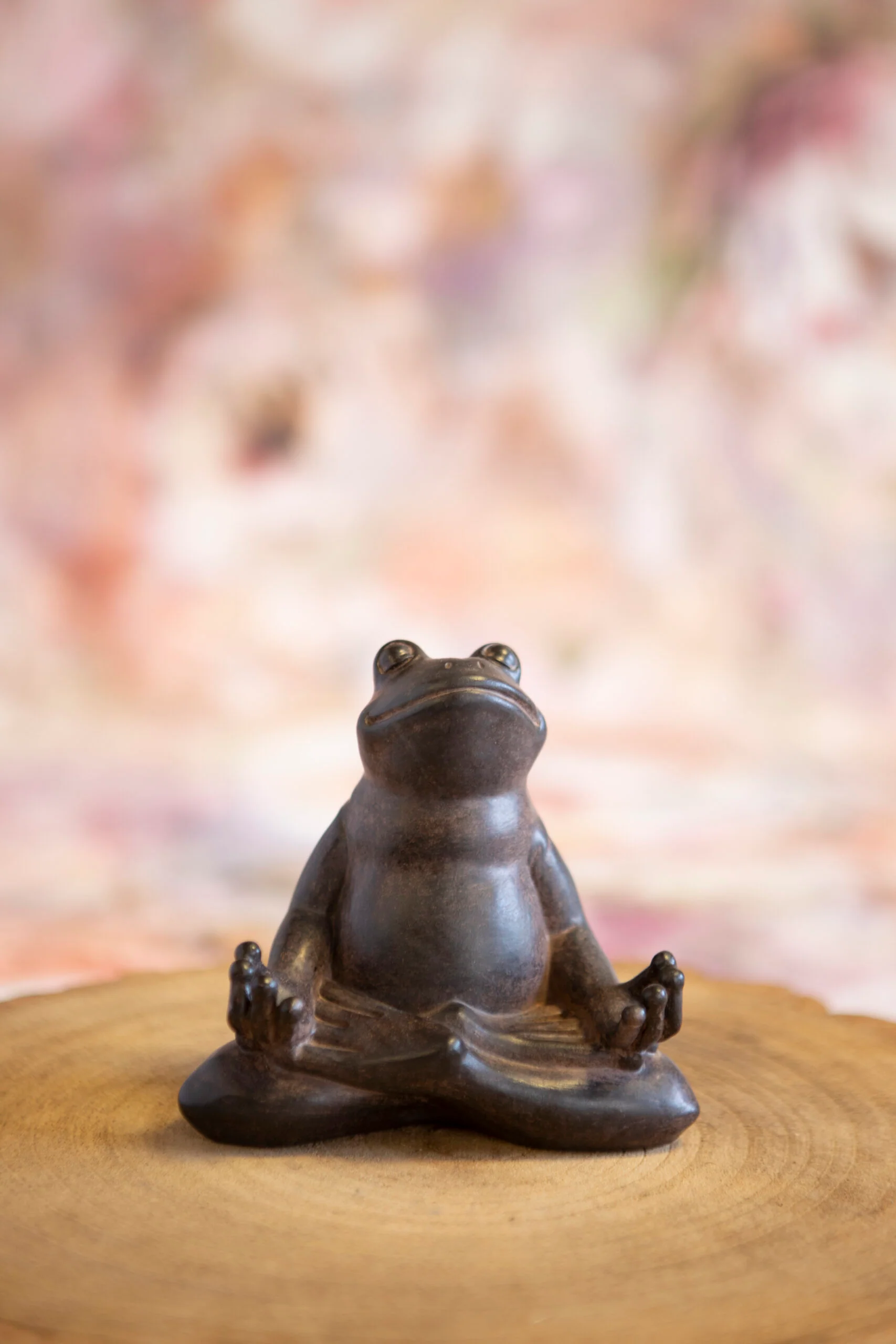 Zen Frog - Image 2