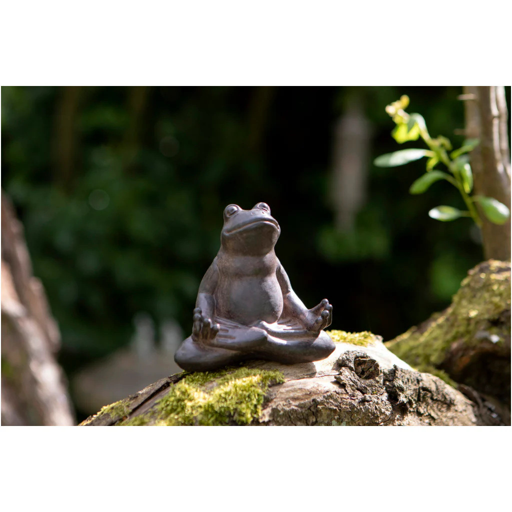 Zen Frog - Image 3